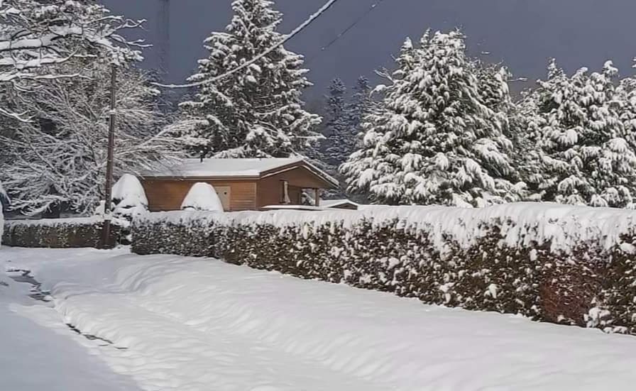 Chalet Du Spiemont Champdray ภายนอก รูปภาพ